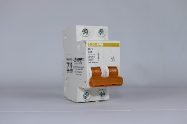 Disjuntor Bipolar 63A Curva C - Gonbre - Imagem 2